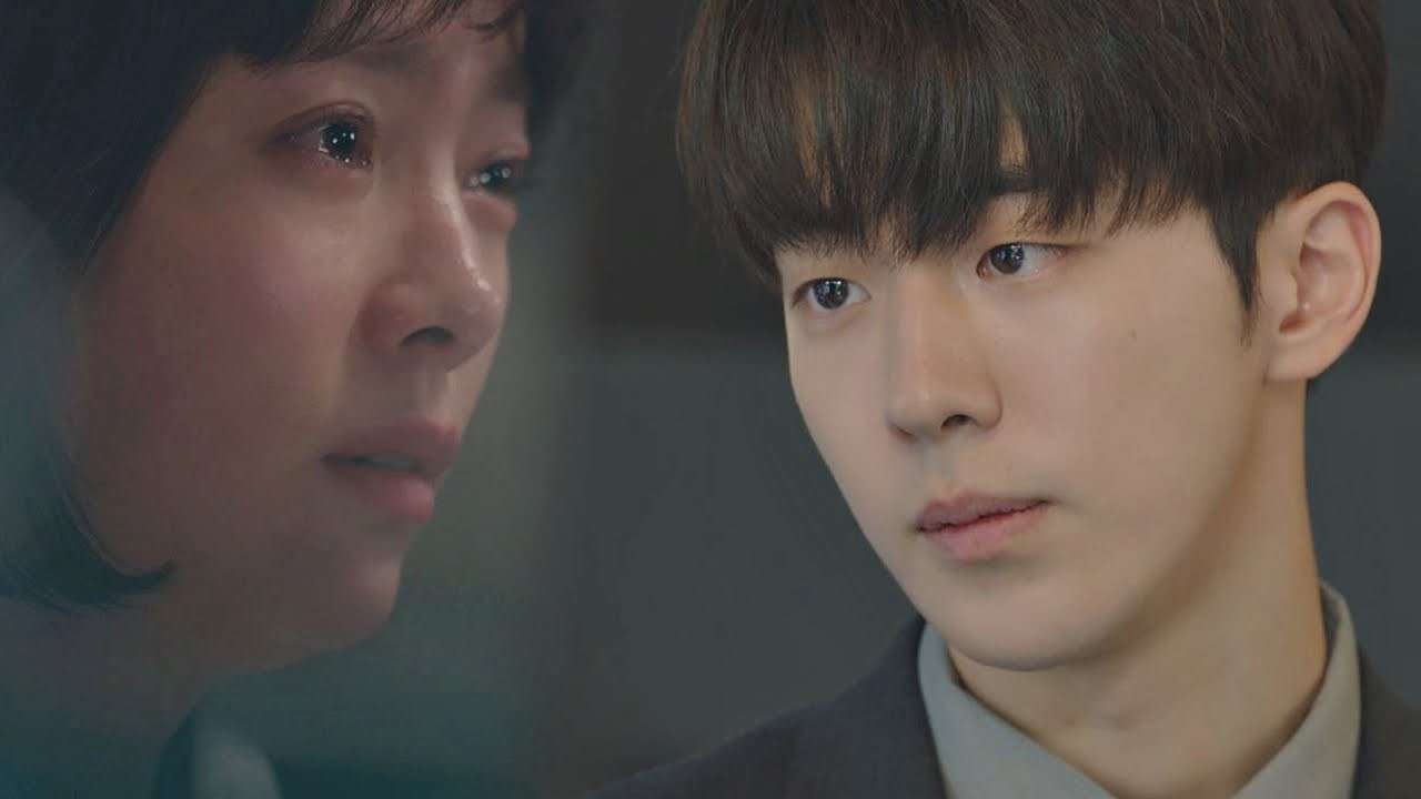 耀眼一共多少集