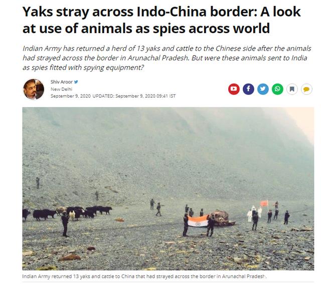 热点|印军向中国归还17头牦牛，印媒竟借题发挥称这些牛是“间谍”