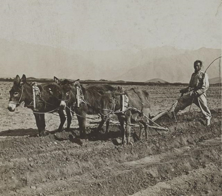 纪实127岁寿星从清朝一直活到2020年13个子女却无人活过18岁