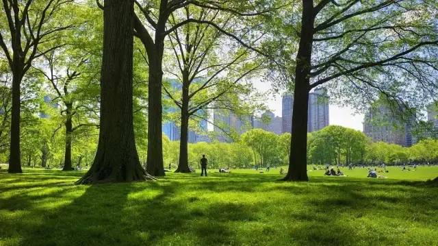 济南大华公园城市售楼处电话4007631618转64449售楼中心地址官方权威