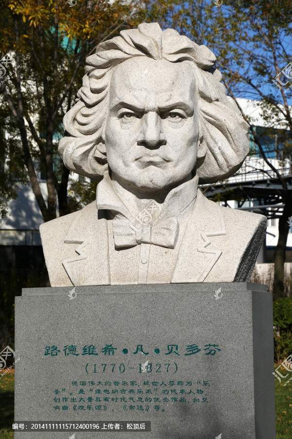 贝多芬耳聋的原因,或许是梅毒导致的失聪?