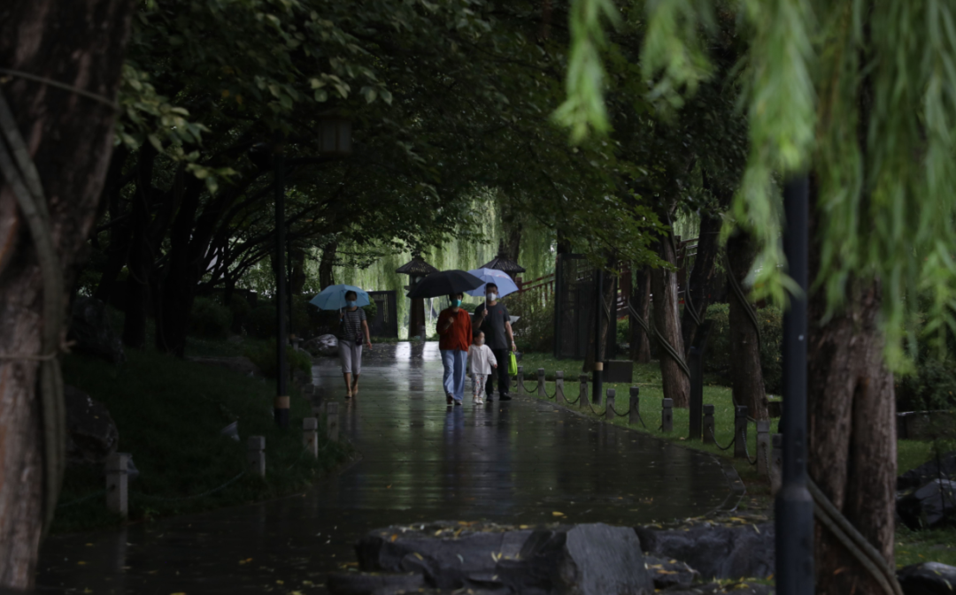 雨天公园的美丽景色图片