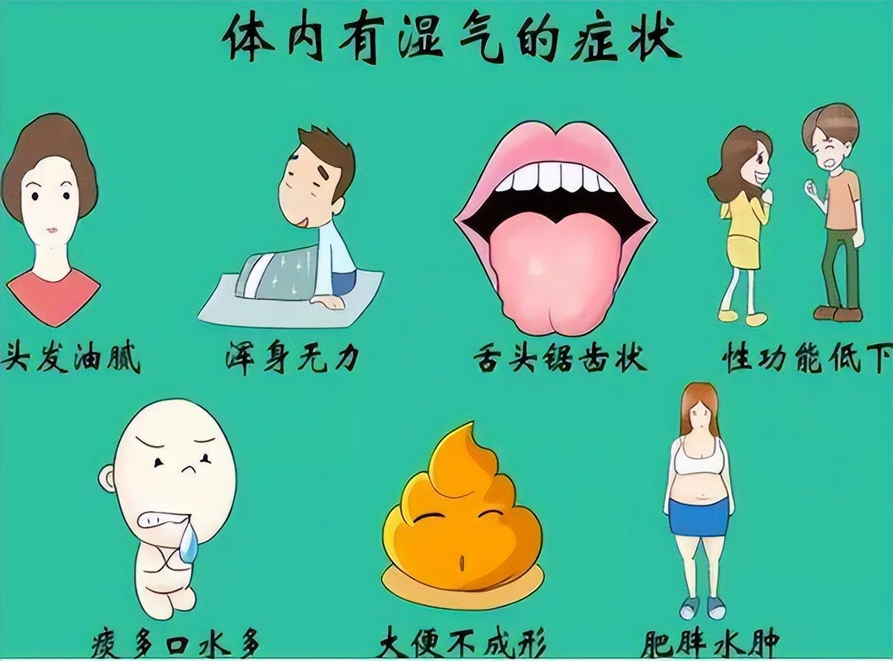 湿气重 百病生?张仲景祛湿名方 温阳健脾 利水化湿 祛一身之湿气