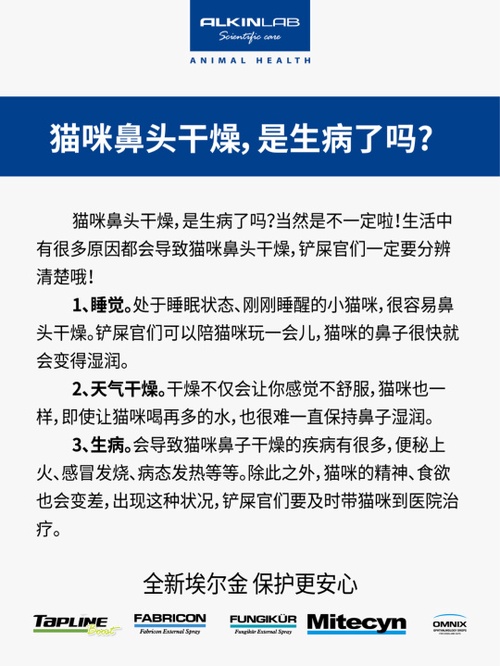 如何缓解猫鼻头干燥的问题,猫鼻头很干怎么办