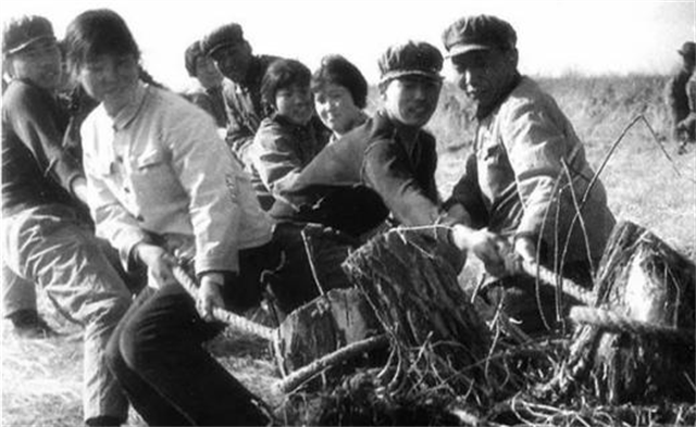 永远的知青——在北大荒牺牲的王晓勤