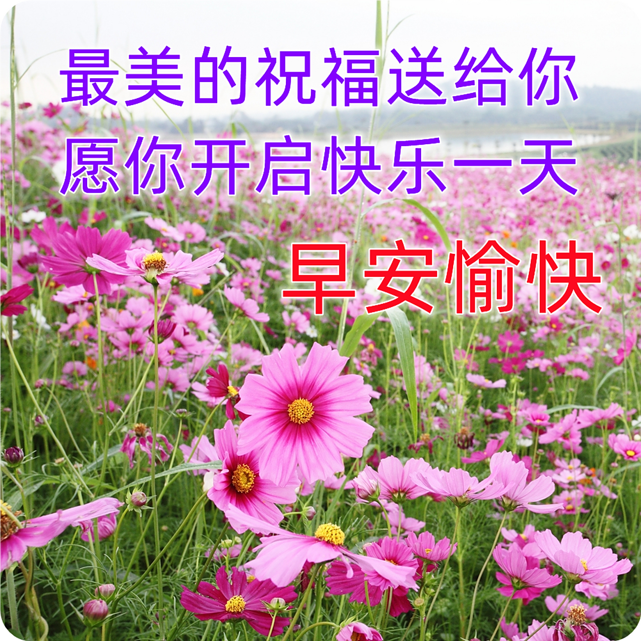 早晨好问候祝福语大全 漂亮的微信早上好问候祝福语 1,每一个人,并不