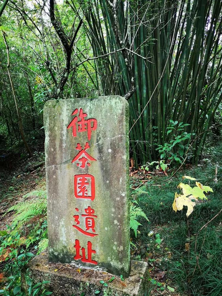 武夷山御茶园遗址