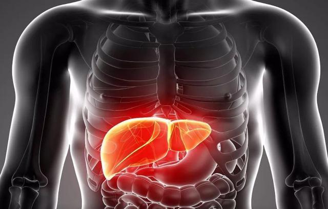 男性常喝"枸杞子泡水",对身体或有5个"好处",不妨了解一下