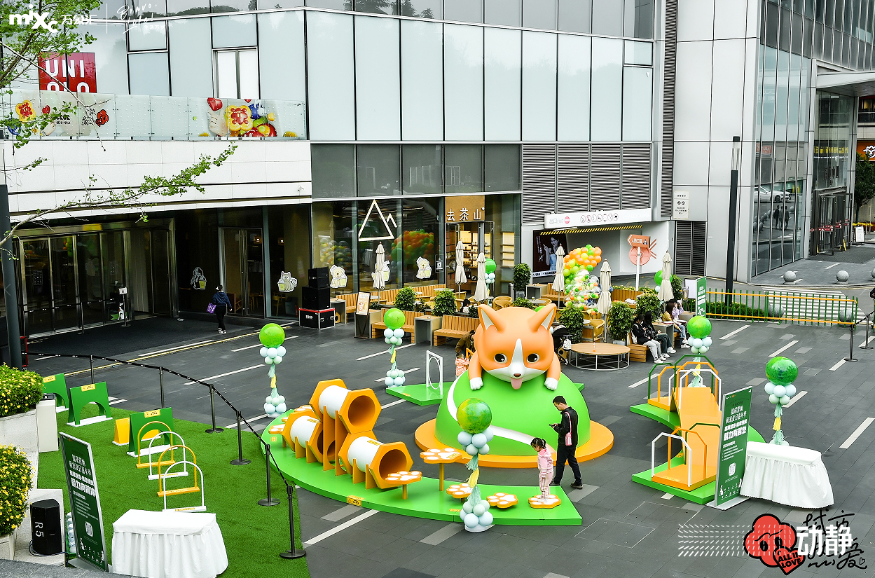 让萌宠融入商圈文化:贵阳推出首个宠物友好商场