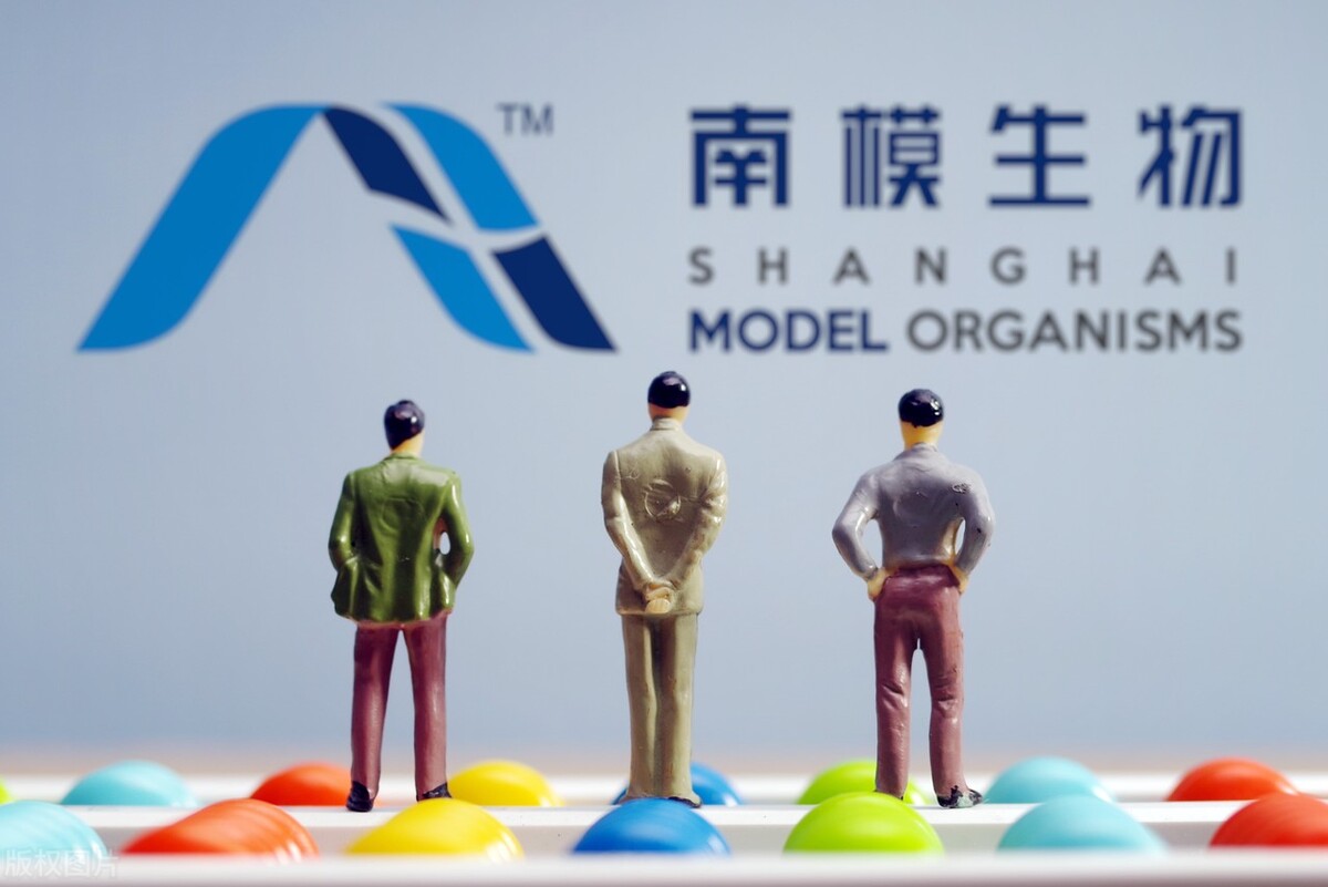 布局炙手可热的模式动物赛道:南模生物,技术领先的活试剂供应商