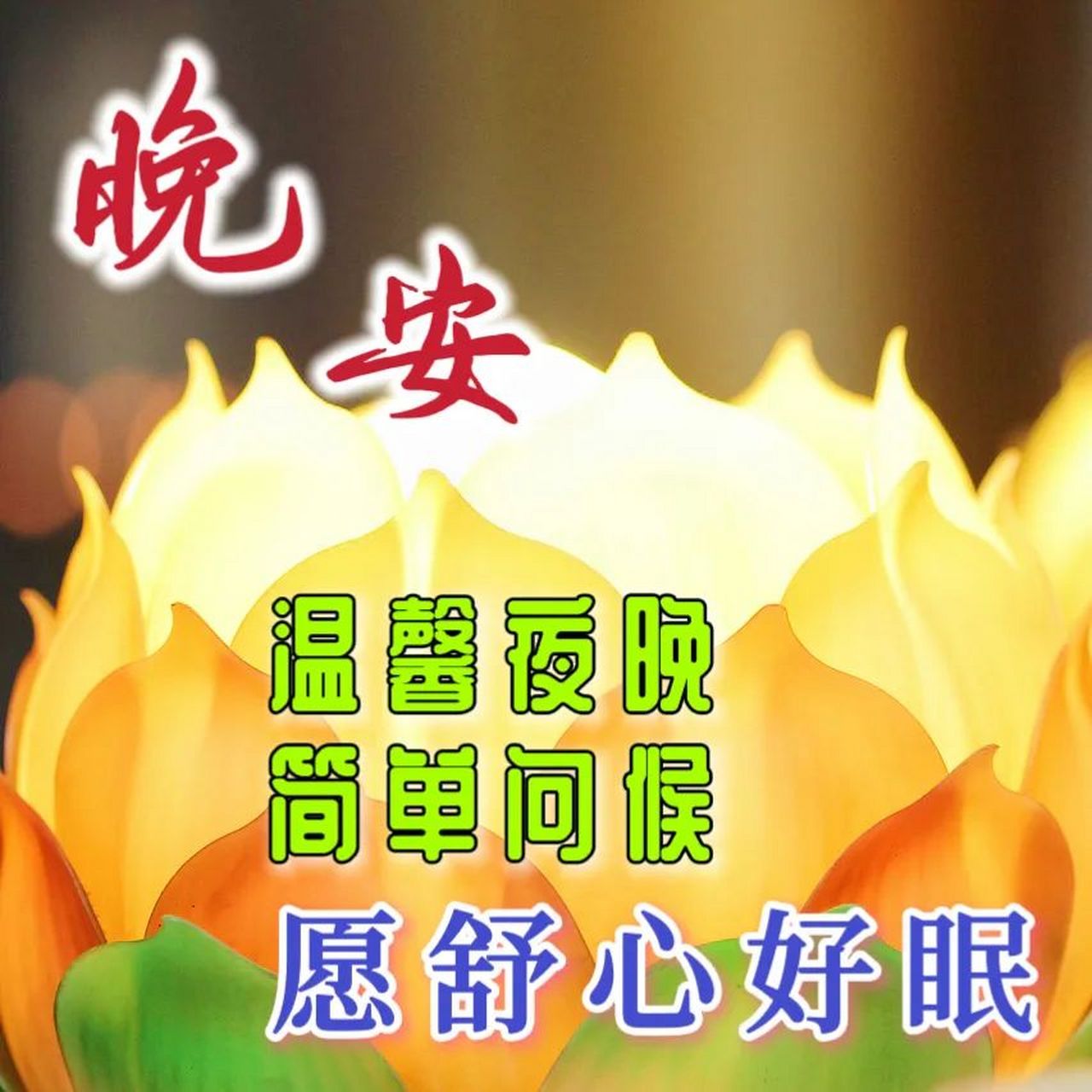 晚上好,思念不因劳累而改变,问候不因疲惫而变懒,祝福不因休息而变缓