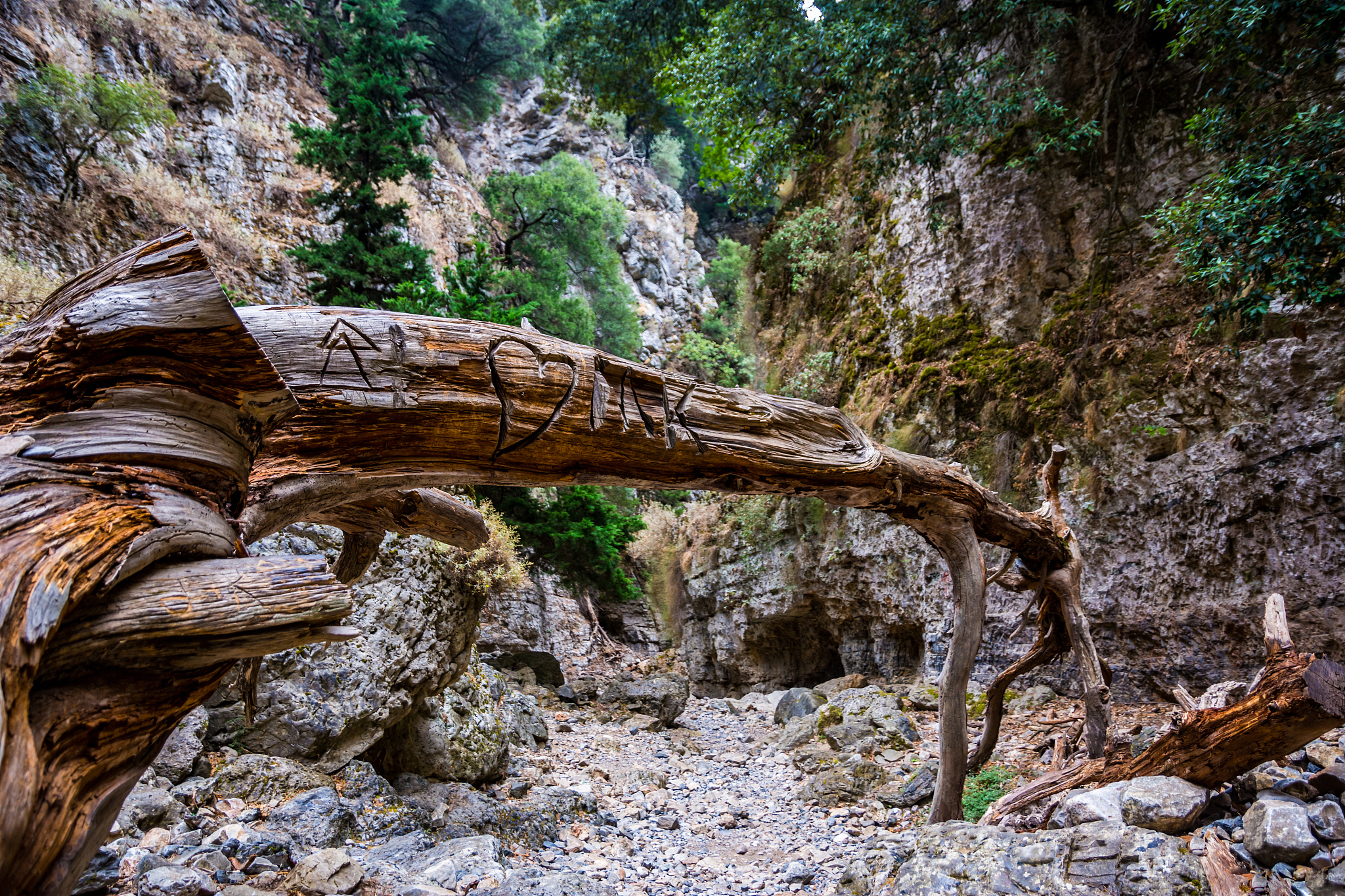 神秘的甘洛清溪峡古道,青苔藓蔓,古树参天,仿佛不属于这个世界