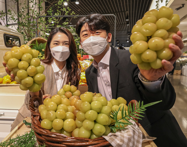 韩国果农偷种日本葡萄被捉:日本以前也偷了我们不少
