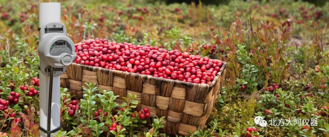 全新!hobo tidbit mx2205 外置温度记录器