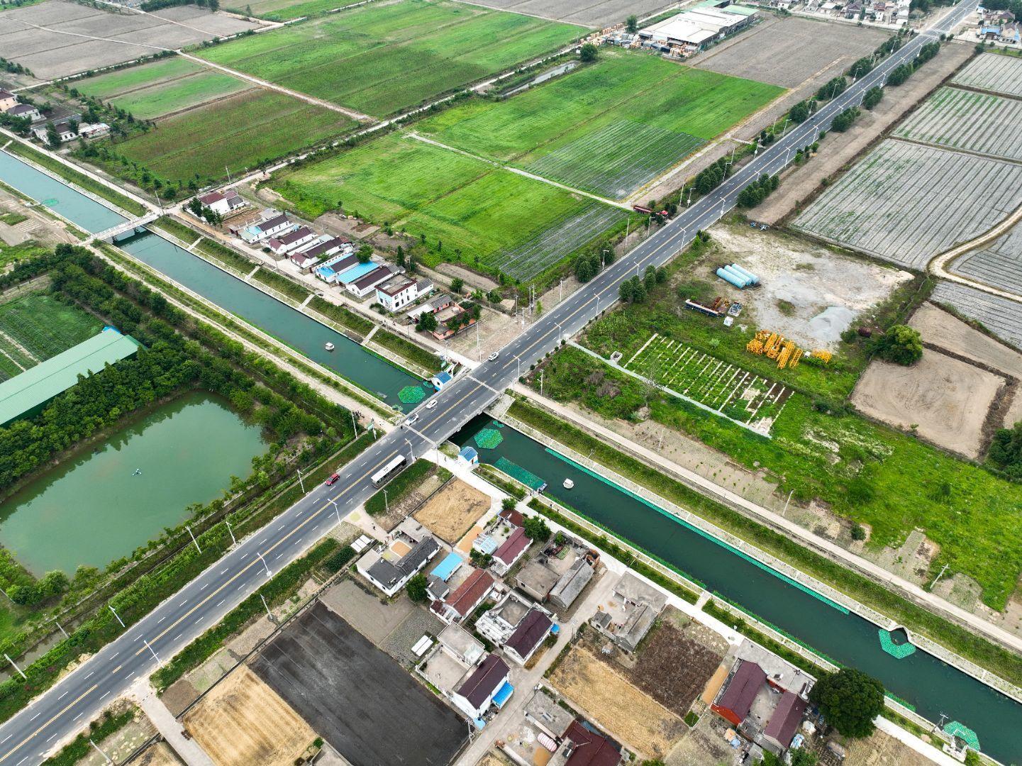 泰州市姜堰区白米镇田园丰景入画来