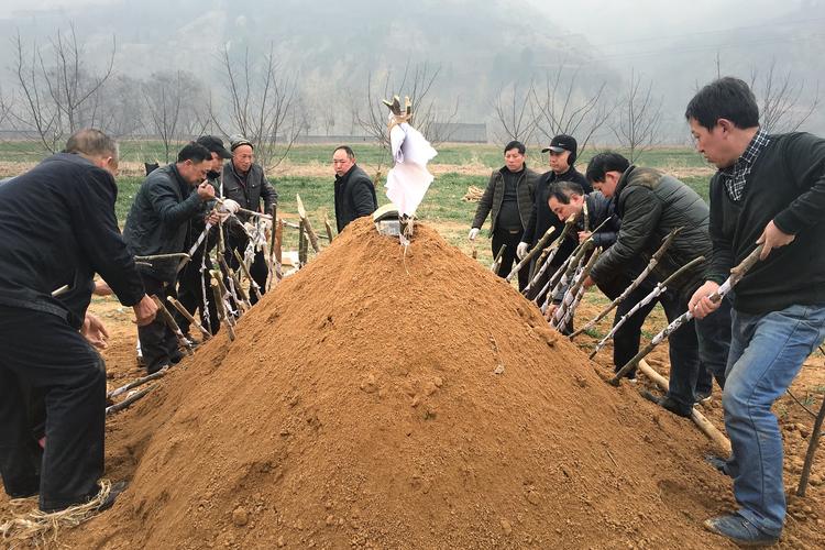 "土葬"或将全面取消,那村里老坟如何处理?知情人给出答案