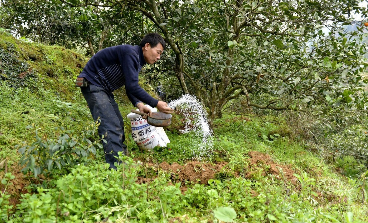 果树施肥 - 热门商品专区