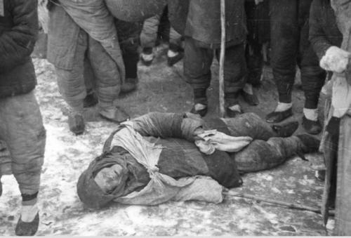 如果你没有经历过战乱,贫穷,凭什么说中国民族的劣根性