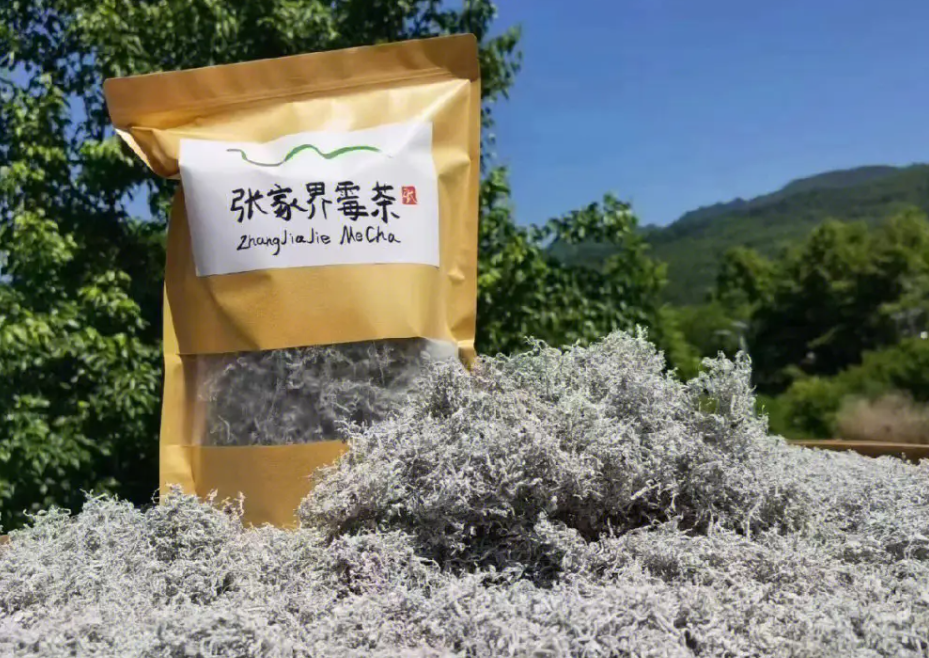 显齿蛇葡萄,又称神仙草,藤茶,3重作用,价值高,农民要了解!