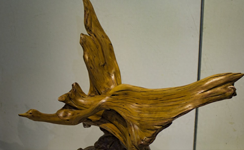 就这样,刘林峰开始在养父母家生活.