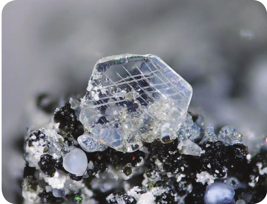 有机酸活化硅酸盐矿物的研究进展