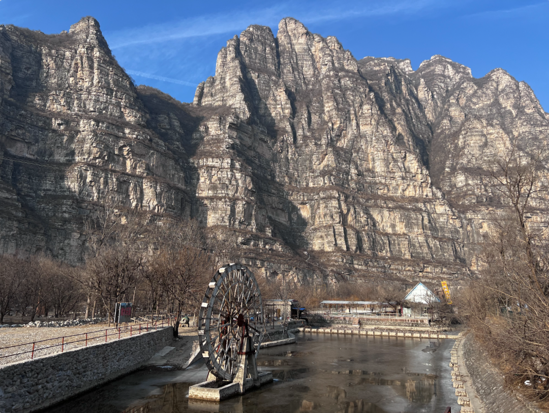 按刘红霞的说法,"花果山"景区已荒废多年,猕猴无人看管,就漫山遍野