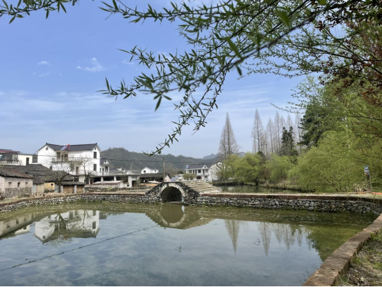 黄山区焦村镇:"微改造"造出美丽小景观