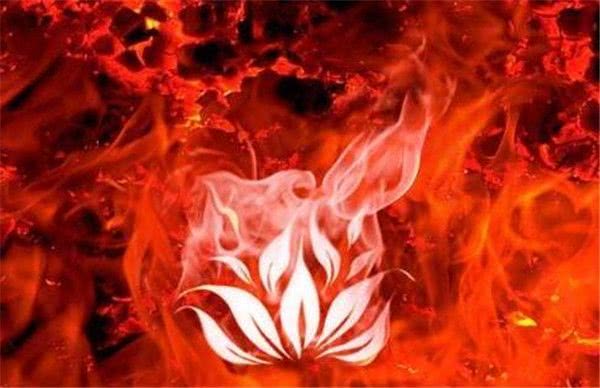 斗破苍穹:23种异火中有用的四种,陨落心炎上榜