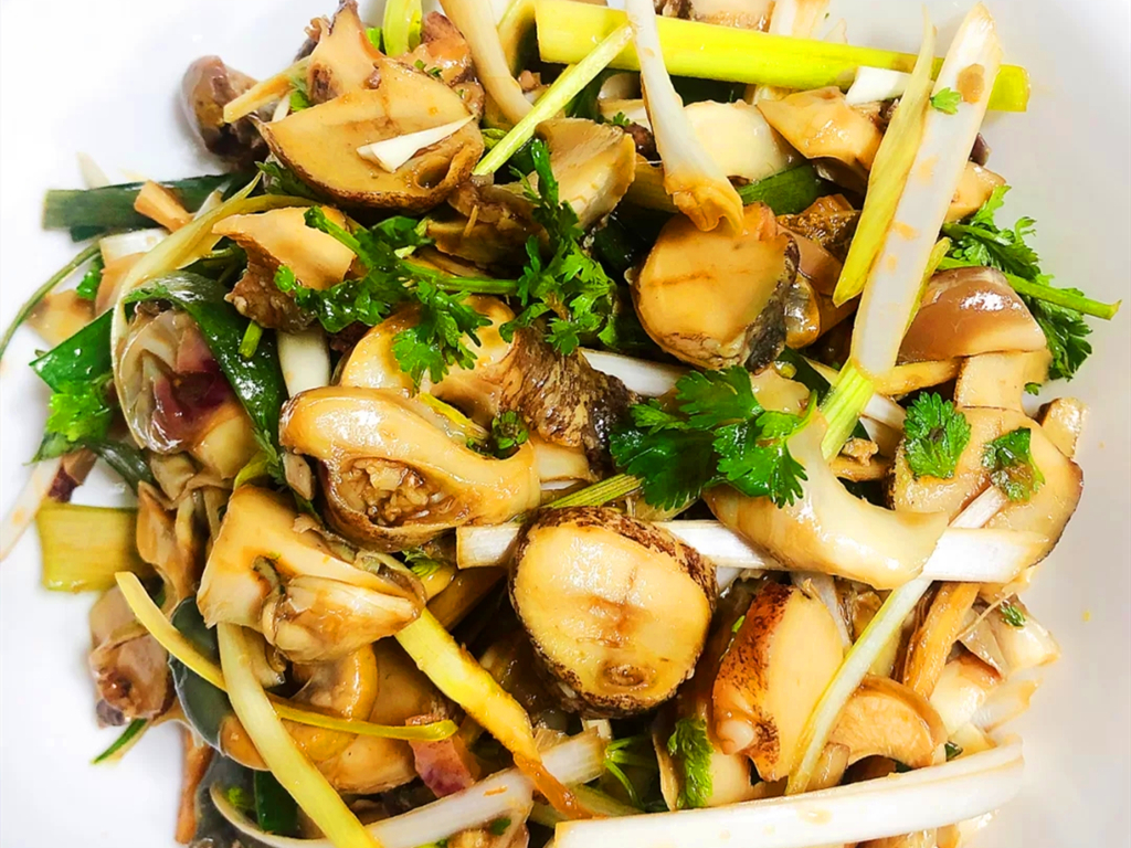 美味海鲜:油爆海螺和温拌海螺,滋味鲜美香辣,海螺肉脆嫩有嚼头