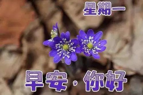 週一早上祝福朋友的早安句子,新一週祝你工作順利!