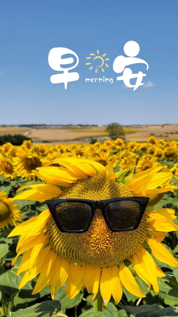 早安语录正能量朋友圈图片