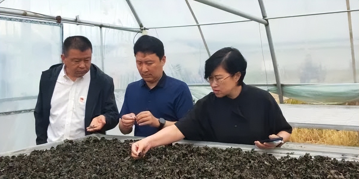 北京榜样·支援合作先锋|徐建生:争做京蒙协作"三好生" 让好产品卖到