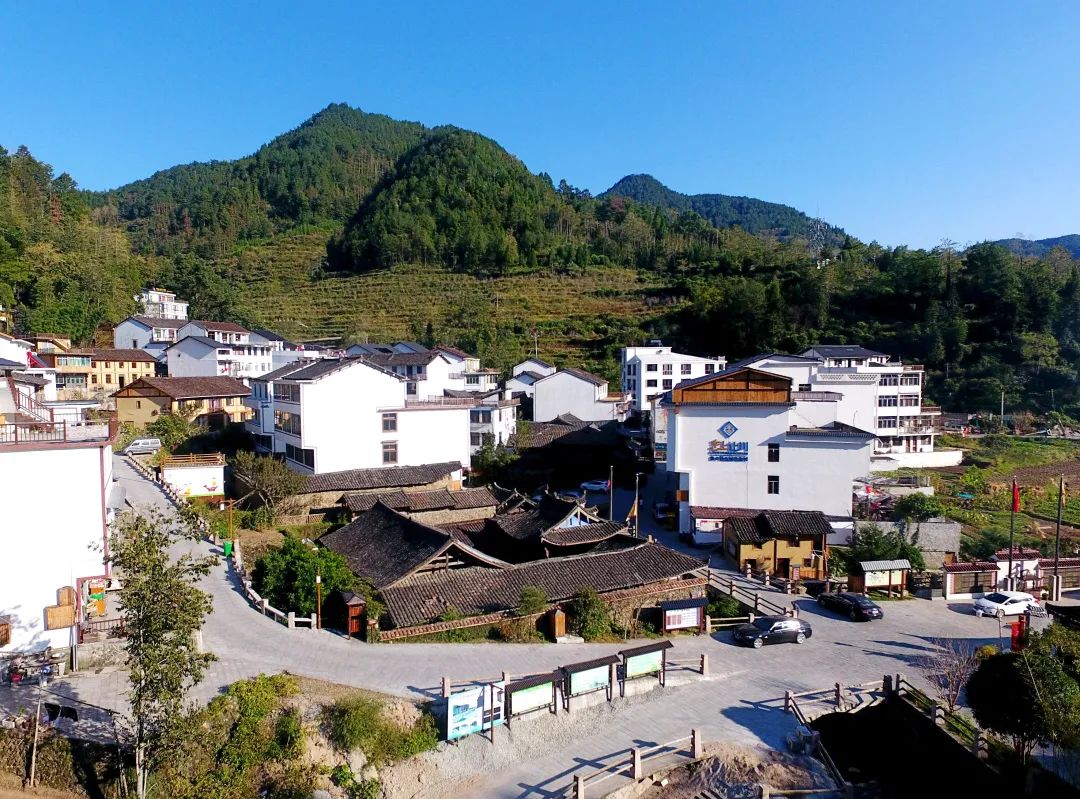 【助力共同富裕】文成让川民族村:"三聚焦"解码"绿色财富"