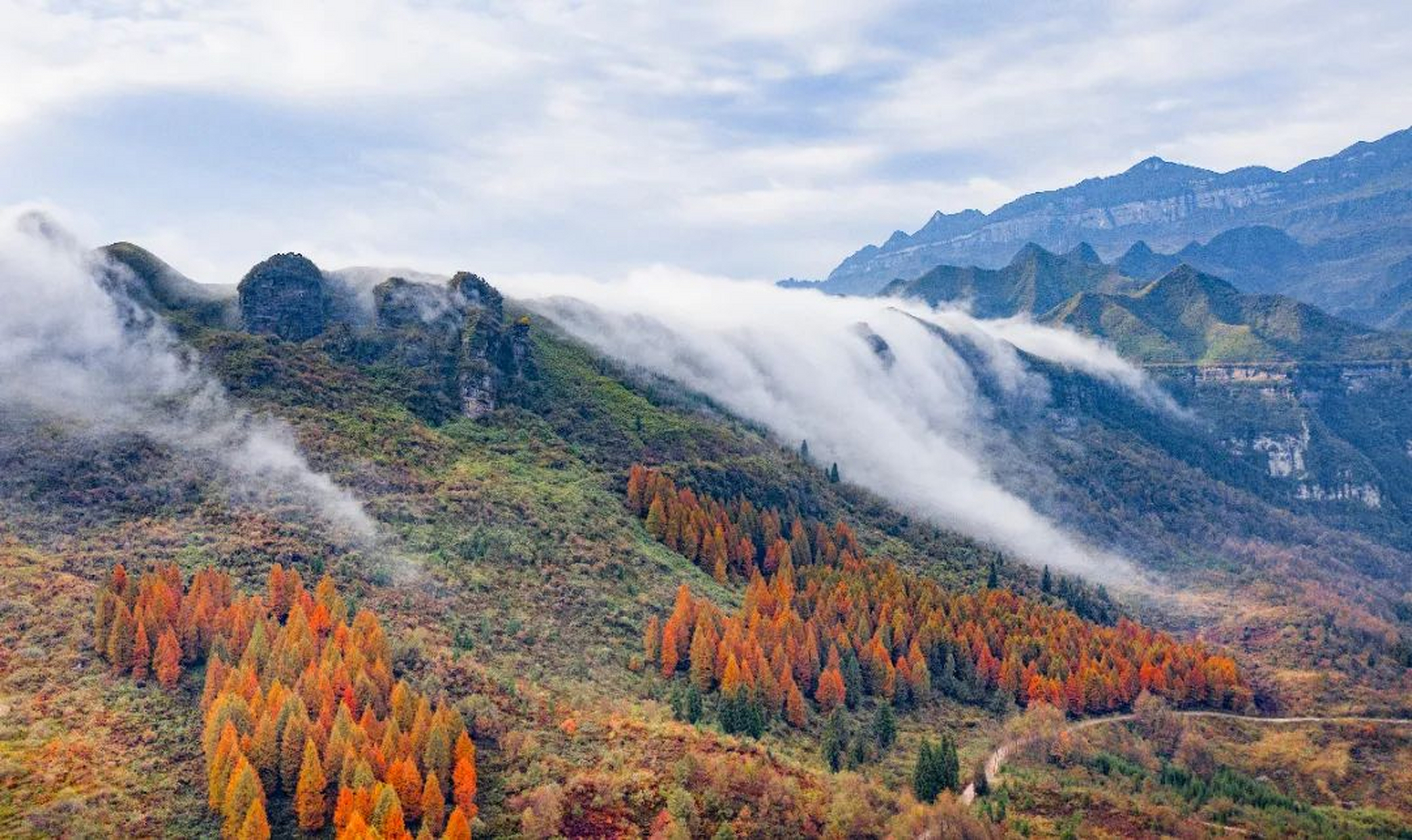 秋冬减肥逆袭指南#标题:探访重庆金佛山,绝美风景等你来,一个重庆的