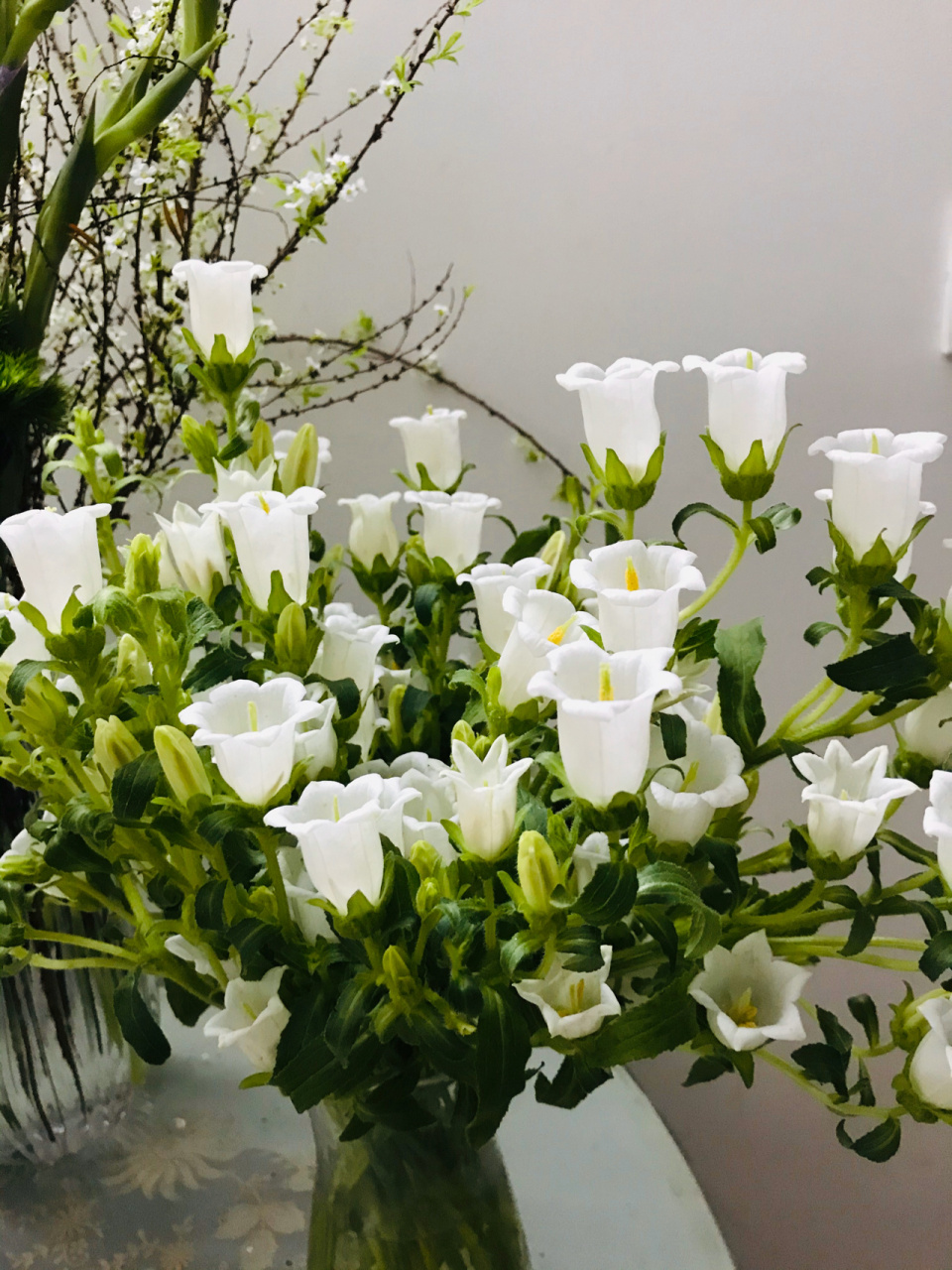 白色风铃花 风铃草?风铃花?