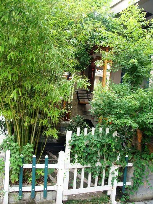 他花3年改造20平中式小院,大部分东西都靠"捡",真是不可思议