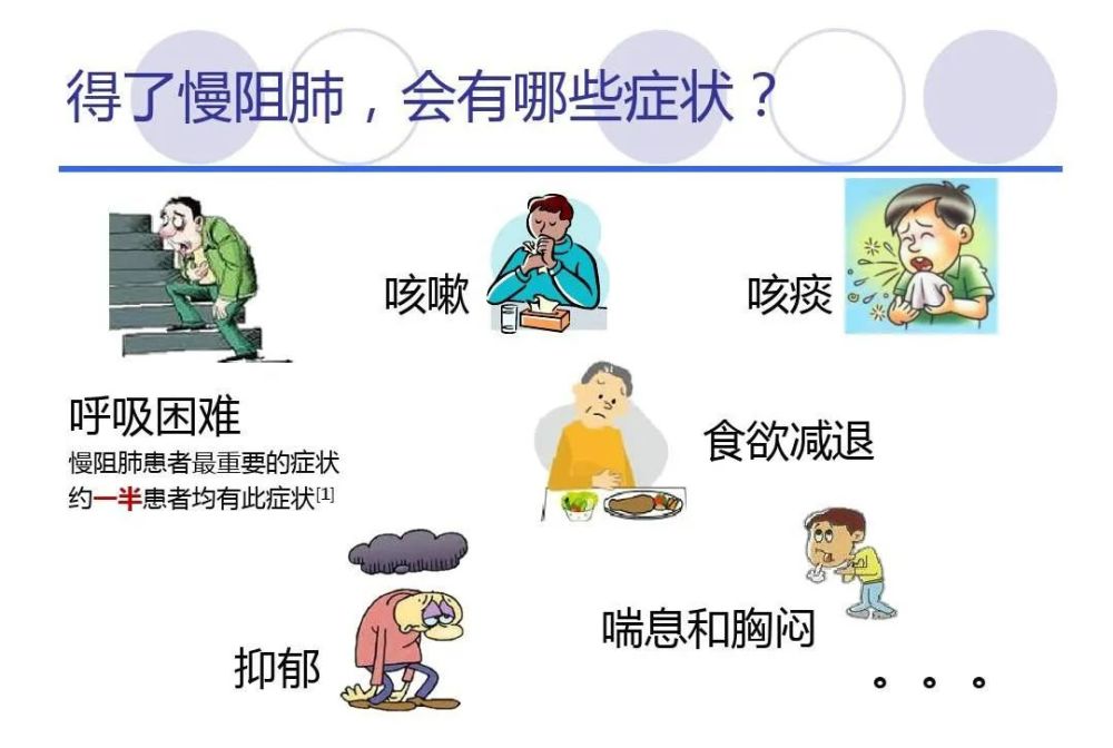 肺病预防的免疫学基础：从黏膜屏障到细胞因子的调控网络