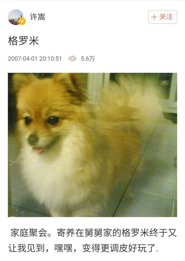 许嵩的格洛米是什么