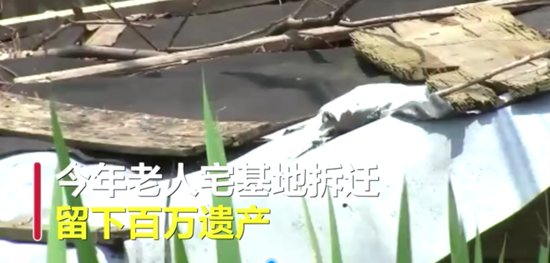 推荐|老人留百万遗产邻居继承一半，网友排队点赞：好人有好报，应得的！