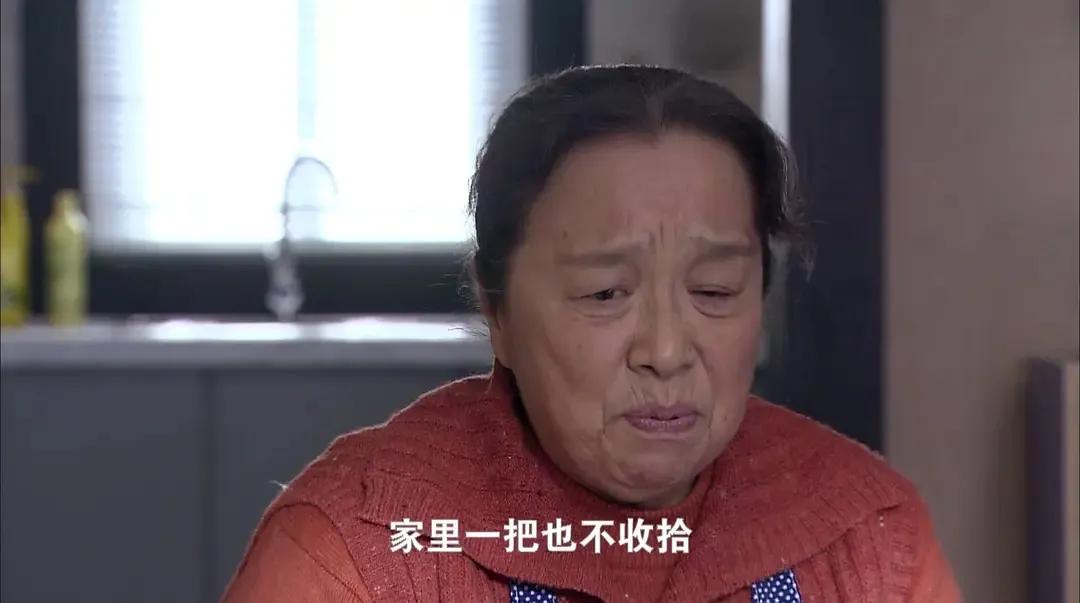 女生嫁错人有多可怕,《双面胶》播出16年,故事原型现状如何?