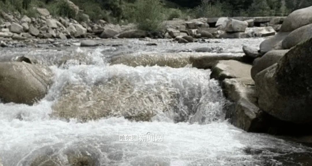 凉爽一夏!五常牤牛河漂流开漂了