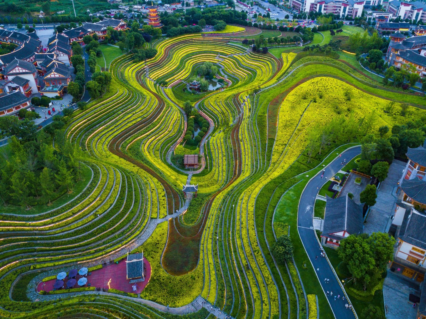 油杉河风景区在哪里图片