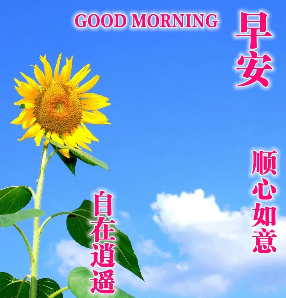 周末最美早上好祝福表情图片带文字,愿你事事都美好