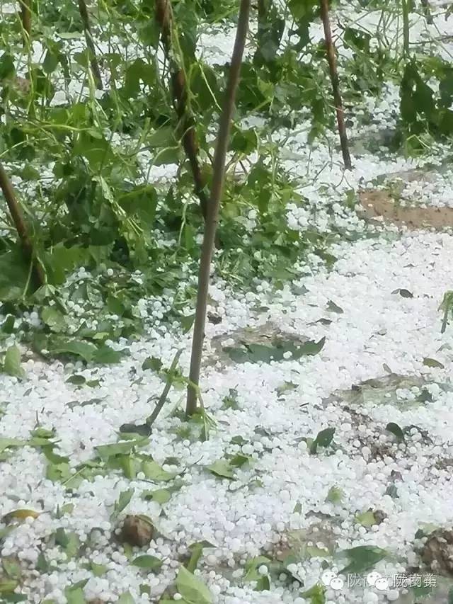 恶劣的天气