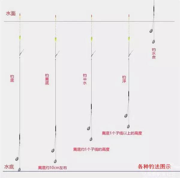 钓中层鱼怎么调漂