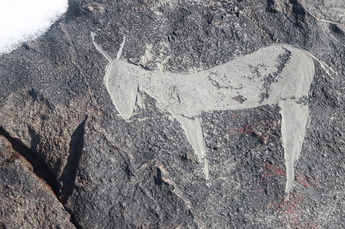 新疆阿勒泰:散落在时光里的岩画(图)