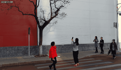 天悦登录意外成了网红打卡地的“东直门树” 被贴小广告处理