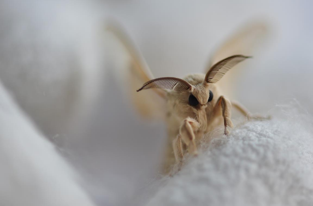 酬酢五首——吕华信,余建华