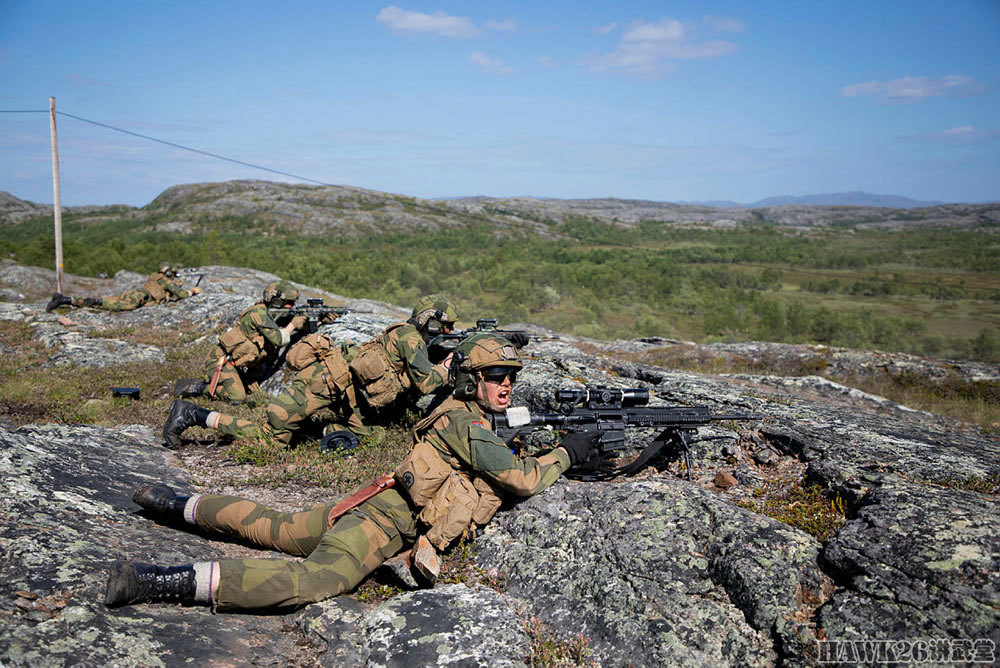 挪威军事力量图片