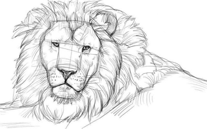 画霸气的狮子 一只图片